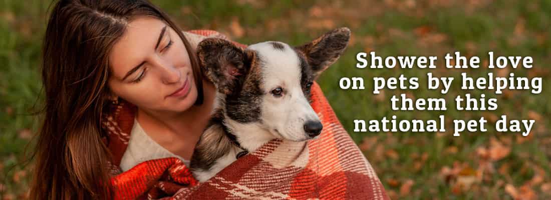Shower the love on pets by helping them this national pet day