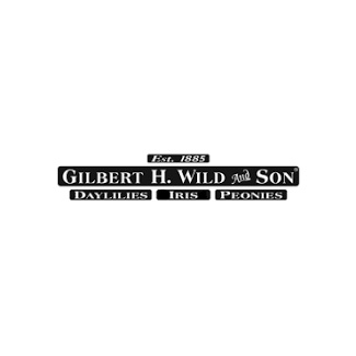 Gilbert H Wild