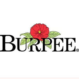 Burpee Coupons