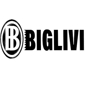 Biglivi Coupons